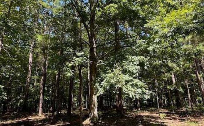 Pictures of Land property located at 109 Chatooga Ct E, Hertford, NC 27944 for sales - image #1