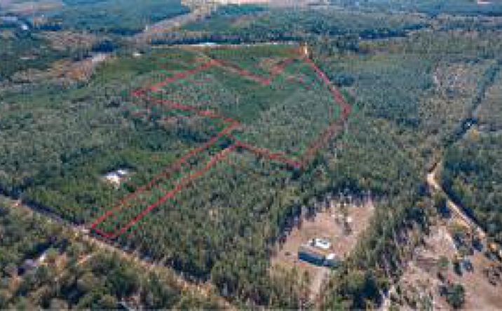 Pictures of Land, Special Purpose property located at 780 Hutto Pond Road, Ridge Spring, SC 29129 for sales - image #1