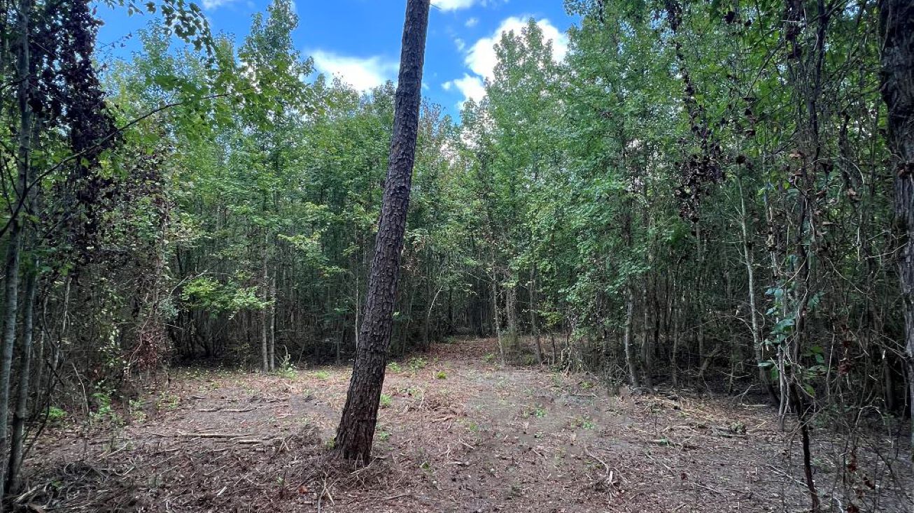 6001 County Rd 233, Tyler, TX 75707