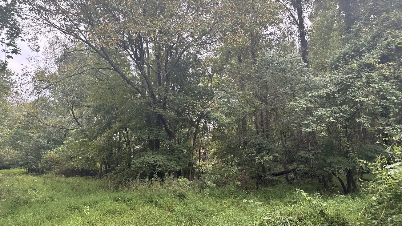 1050 W Barton Street, Greensboro, NC 27407