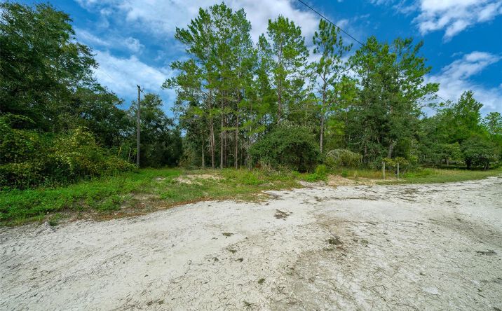 Pictures of Land property located at 34167 Belt Drive, Dade City, FL 33523 for sales - image #1