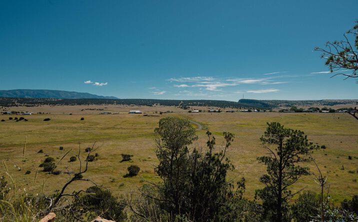 Pictures of Land property located at TBD 246 Highway, Capitan, NM 88316 for sales - image #1