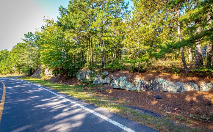 Pictures of Land property located at Hwy 110 & 65, Clinton, USA 72031 for sales - image #1