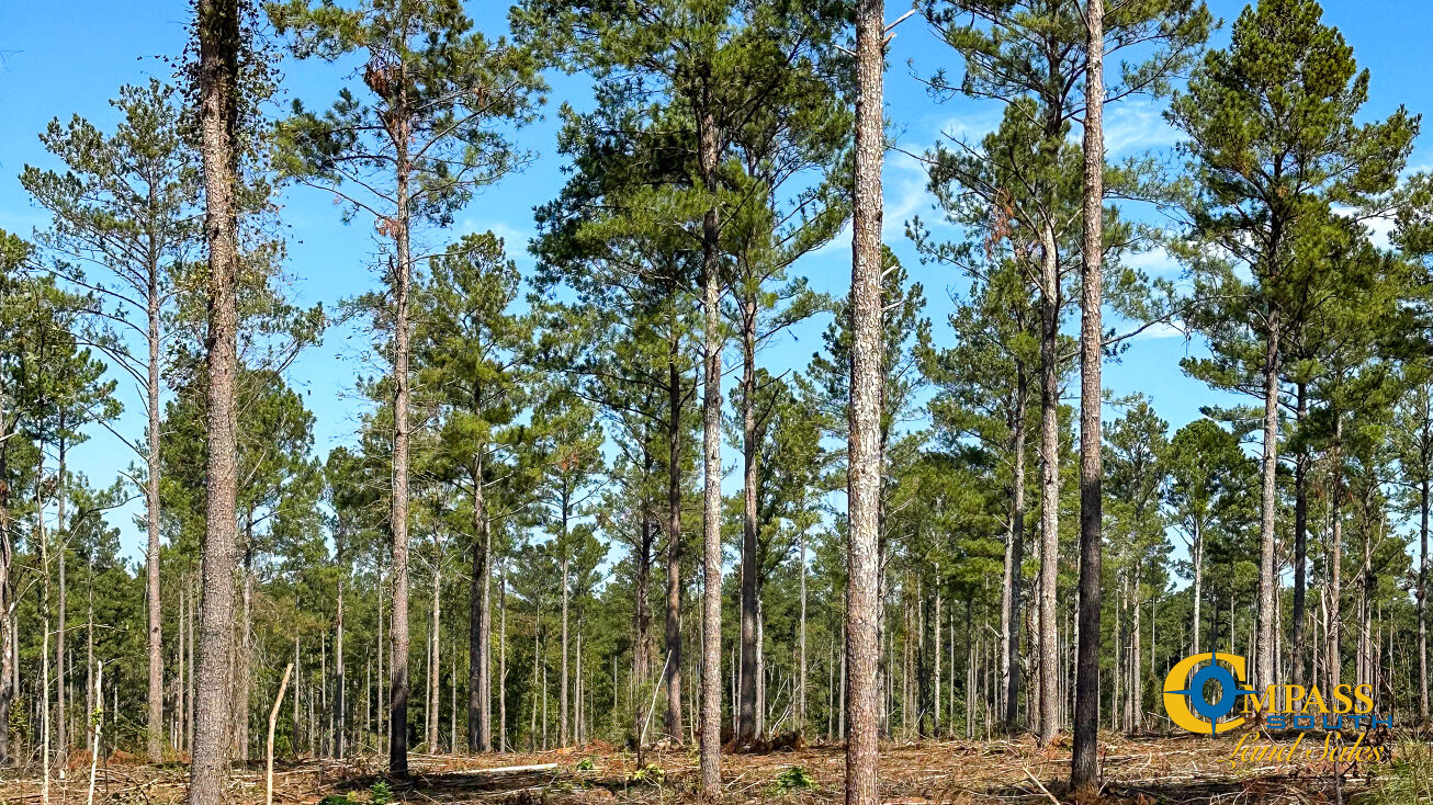 5040 Seven Islands Rd, Madison, GA 30650