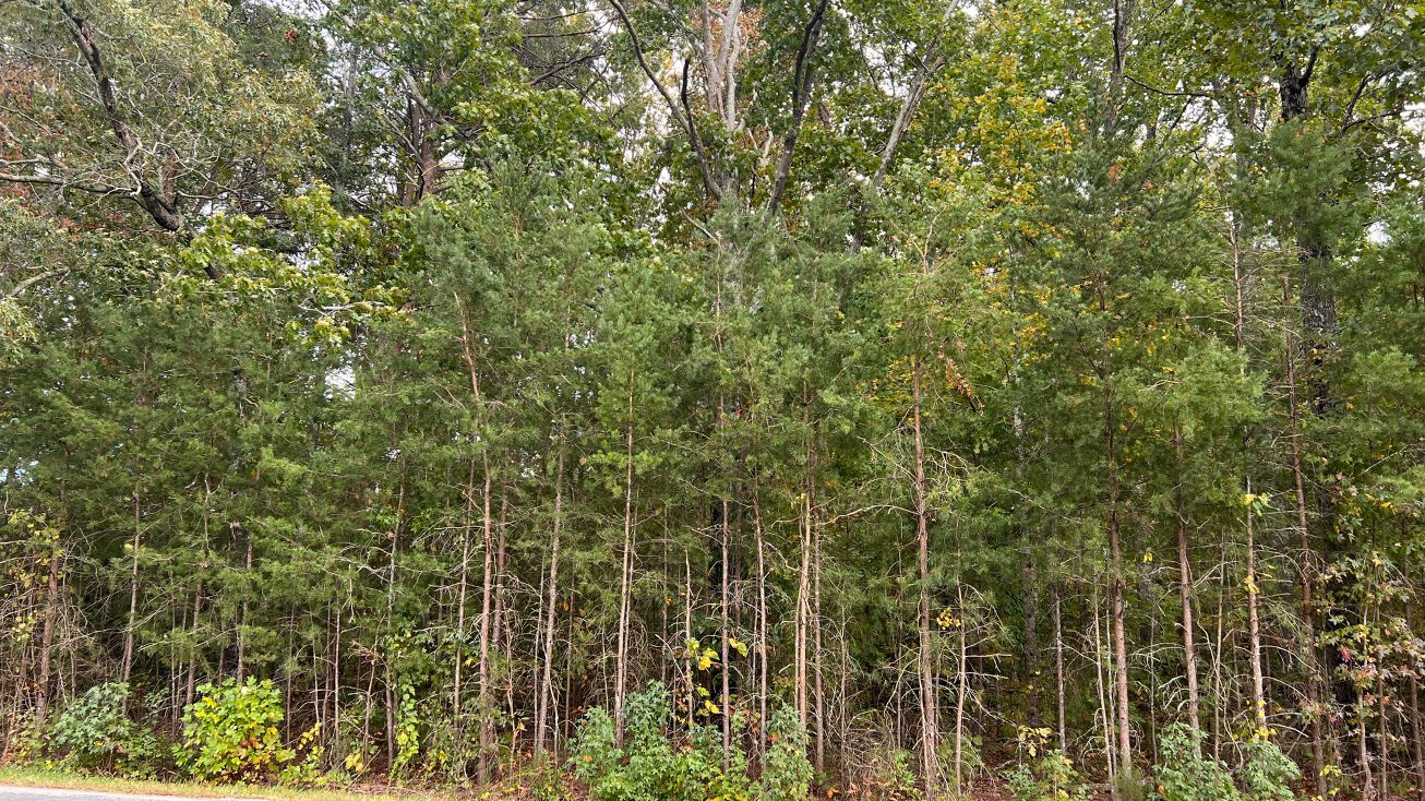 Cornelius Rd, Rockwell, NC 28138