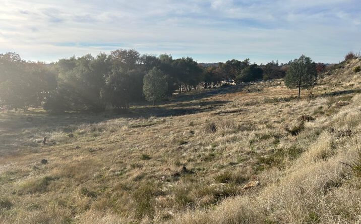 Pictures of Land property located at 4220 Business Dr, Shingle Springs, CA 95682 for sales - image #1