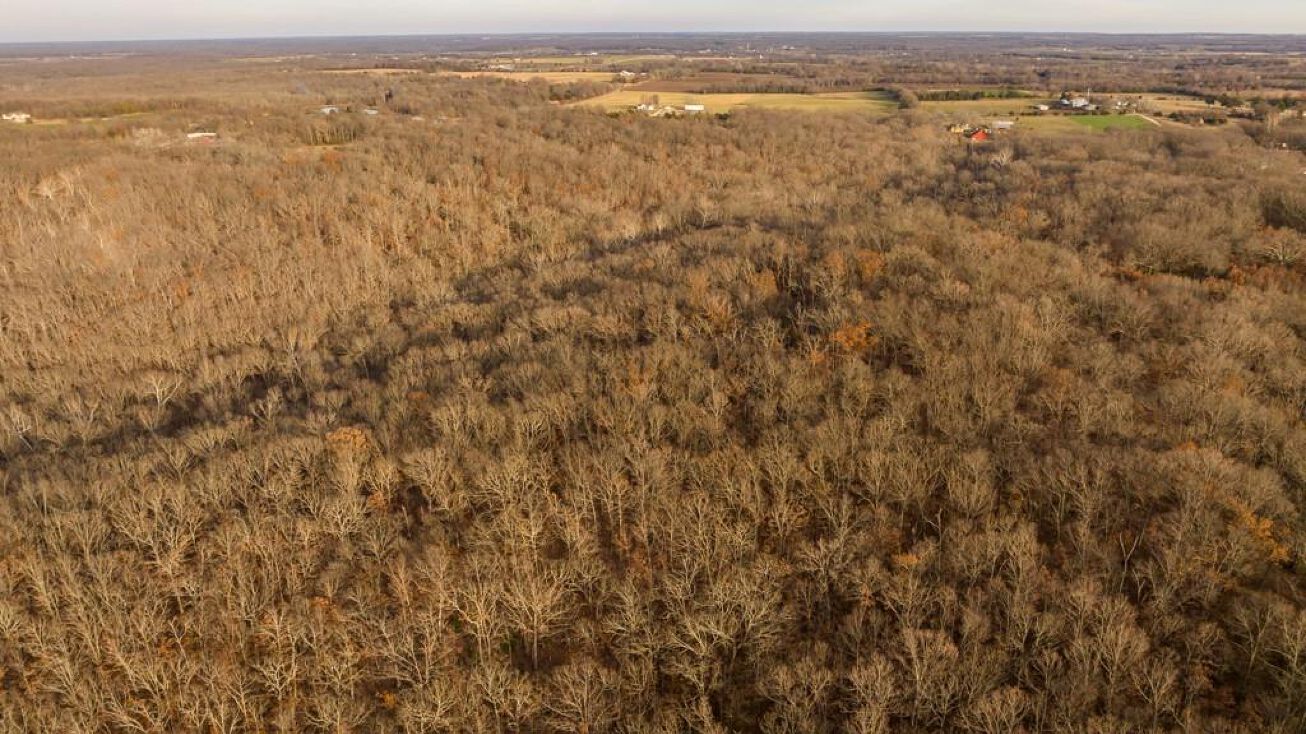 0000 SE PP Highway, Collins, MO 64738