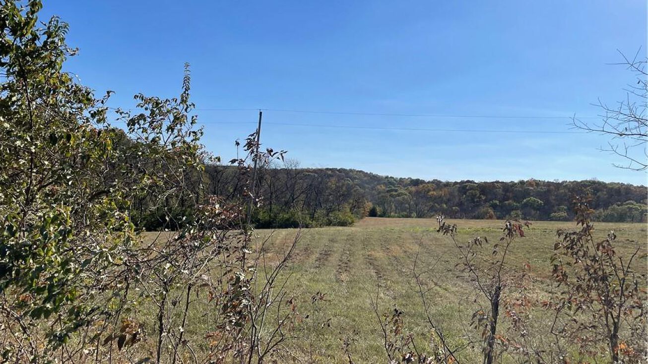 W 206th Street, Lawson, MO 64062