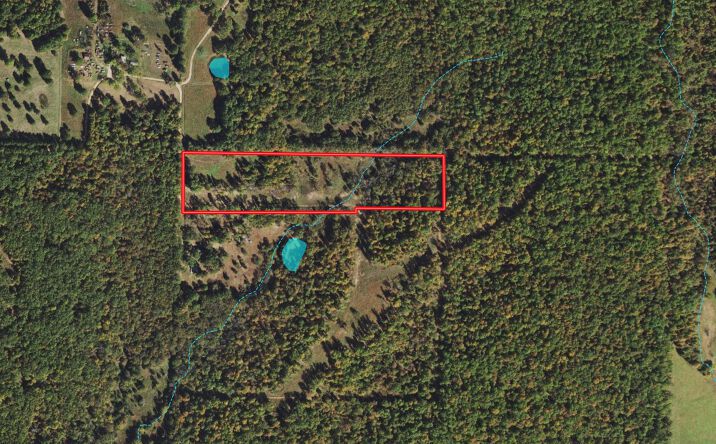 Pictures of Land property located at 000 Private Road CC-200, Alton, MO 65606 for sales - image #1