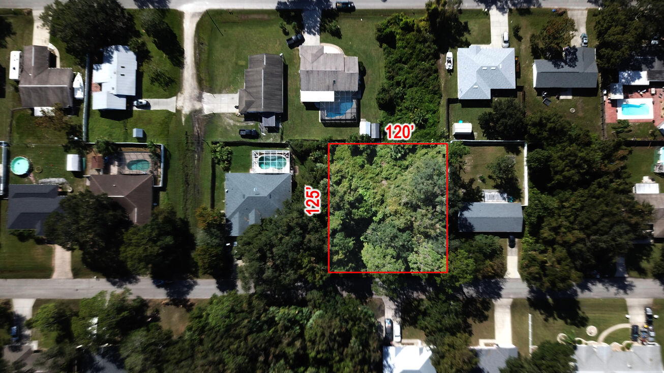 3224 Needle Palm Drive, Edgewater, FL 32141