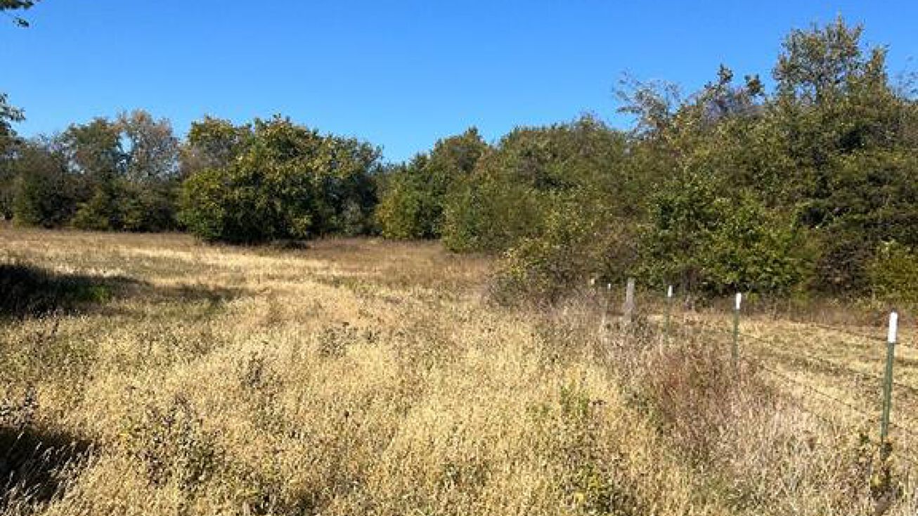 27411 S Hillside Road, Harrisonville, MO 64701