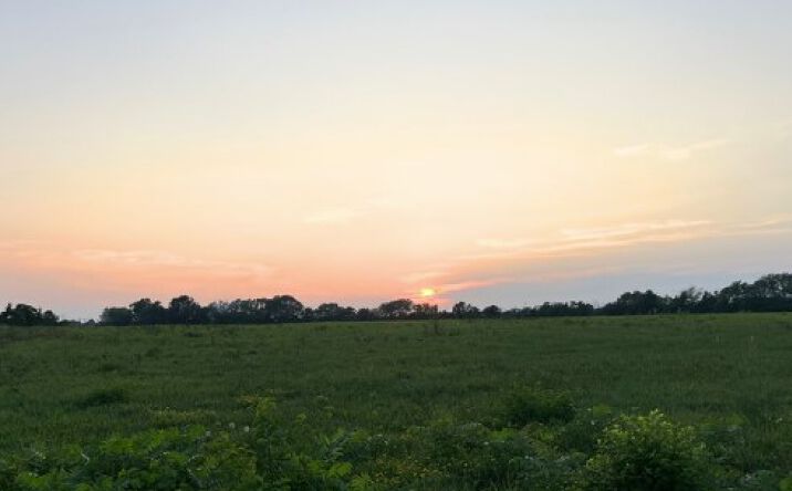 Pictures of Land, Mixed Use property located at N Henry Clay Blvd, Ashland, MO 65010 for sales - image #1