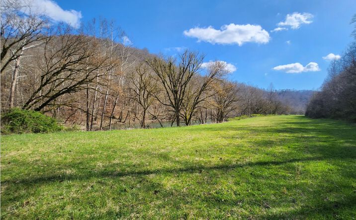 Pictures of Land property located at Crane Hill Rd, Harrogate, TN 37752 for sales - image #1