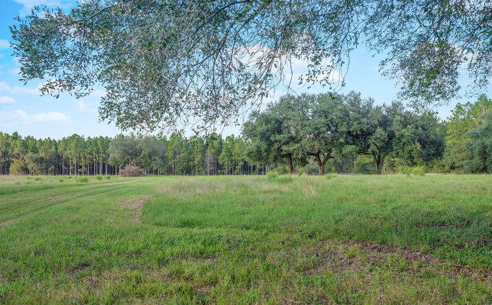 Pictures of Land, Mixed Use property located at 25200 Old Joyner Mill Rd, Kiln, MS 39556 for sales - image #1