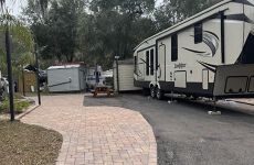 21540262