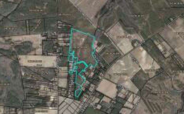 Pictures of Land property located at Tbd Shad Road, Williston, SC 29853 for sales - image #1