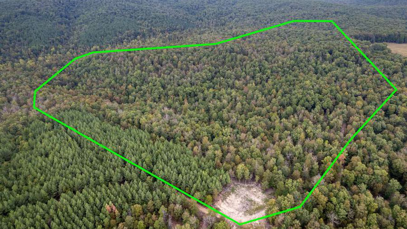 Madison CR 410, Fredericktown, MO 63645