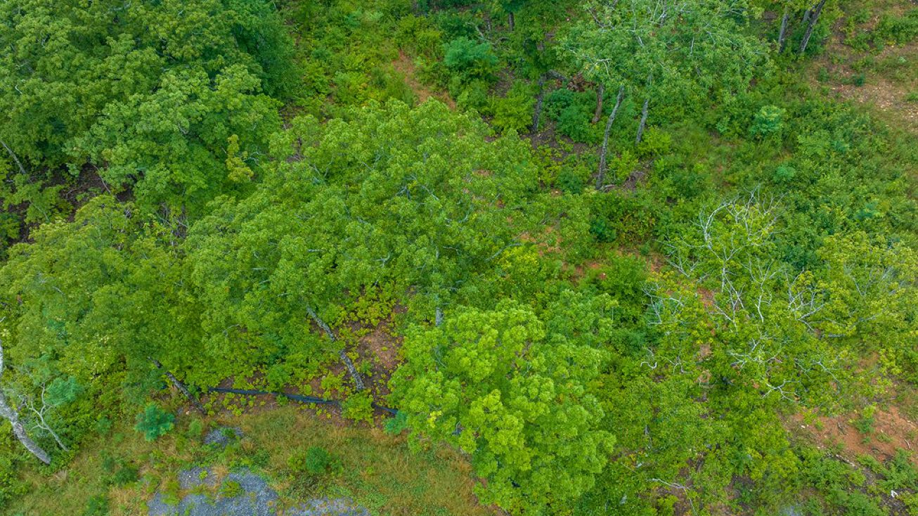 Timberline Dr, Jasper, GA 30143