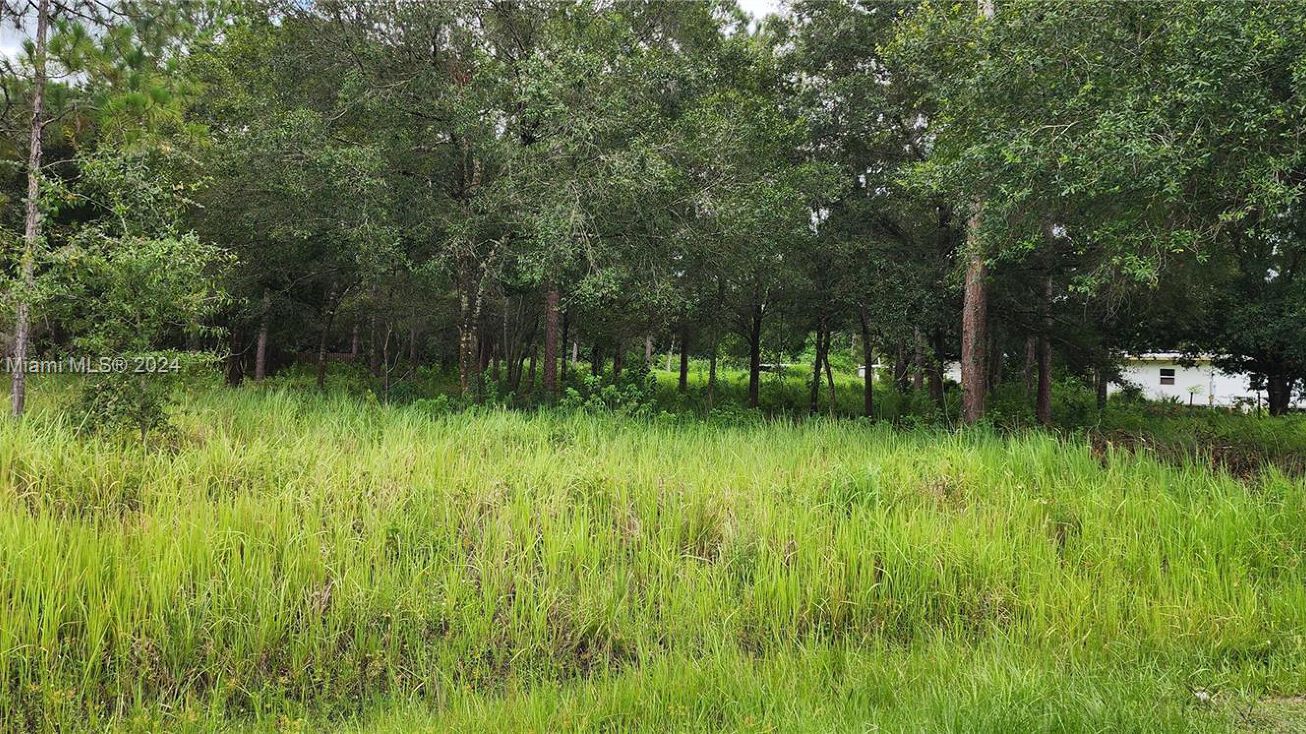 755 N Willow, Clewiston, FL 33440