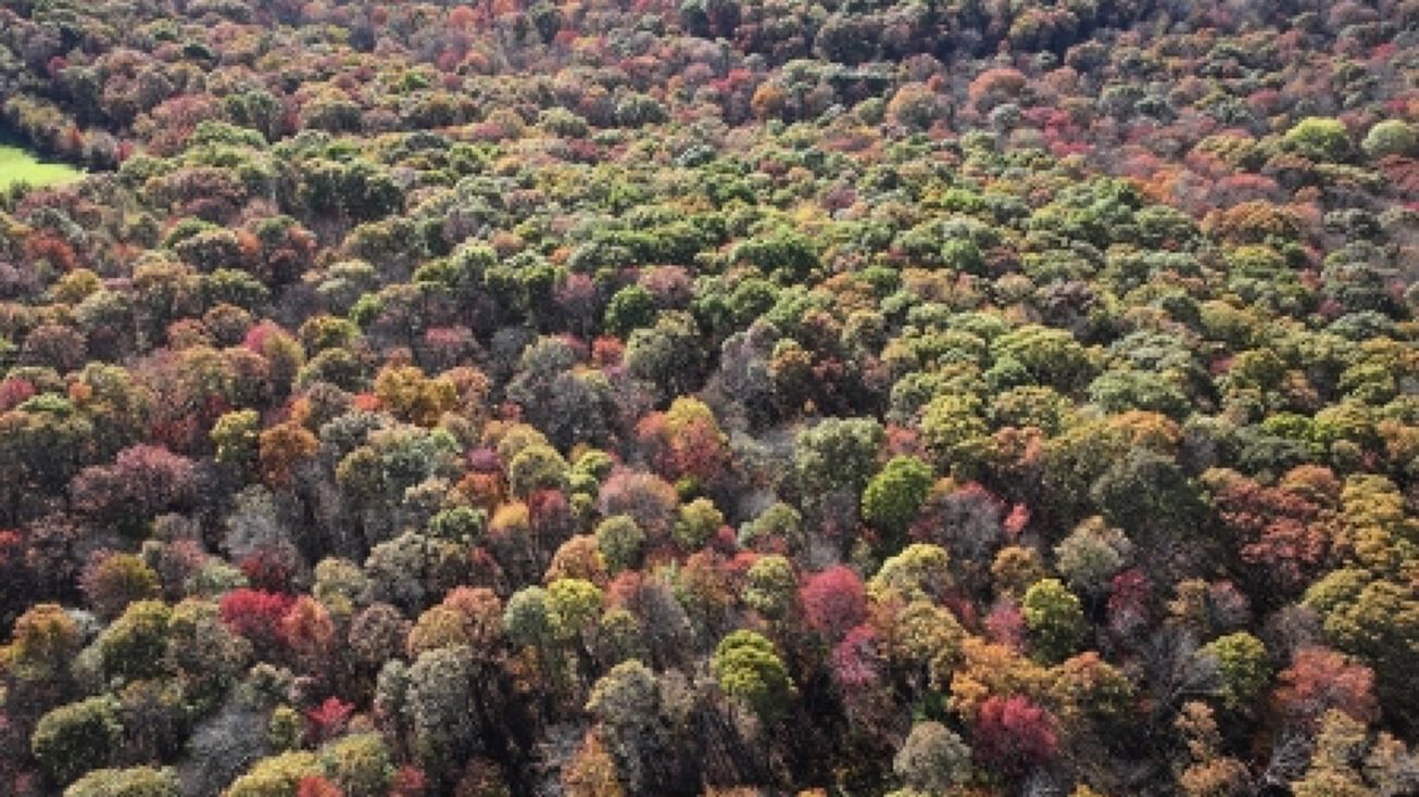 0 Guthrie Rd, Markleysburg, US 15459