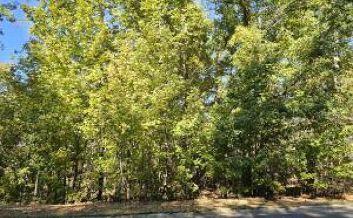 Pictures of Land property located at Tbd Stonehaven Drive, Aiken, SC 29803 for sales - image #1