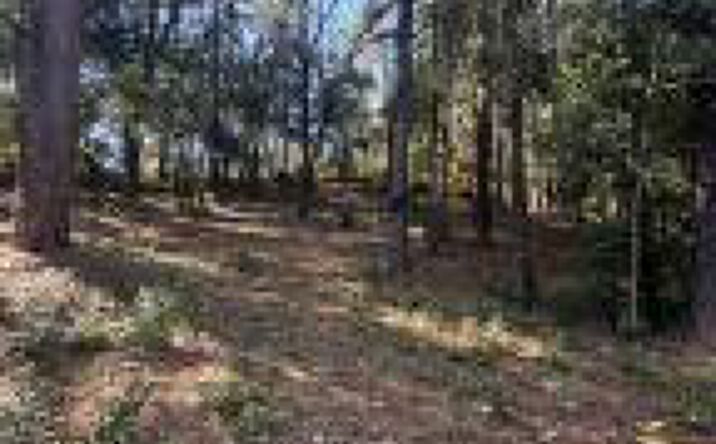 Pictures of Land property located at 9 Hills Woodland Lane, Aiken, SC 29801 for sales - image #1