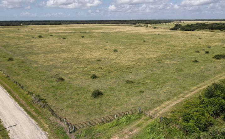 Pictures of Land property located at Co Rd 459, Francitas, TX 77465 for sales - image #1