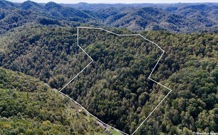 Pictures of Land property located at 4087 Livingston Creek Rd, Bristol, VA 24202 for sales - image #1