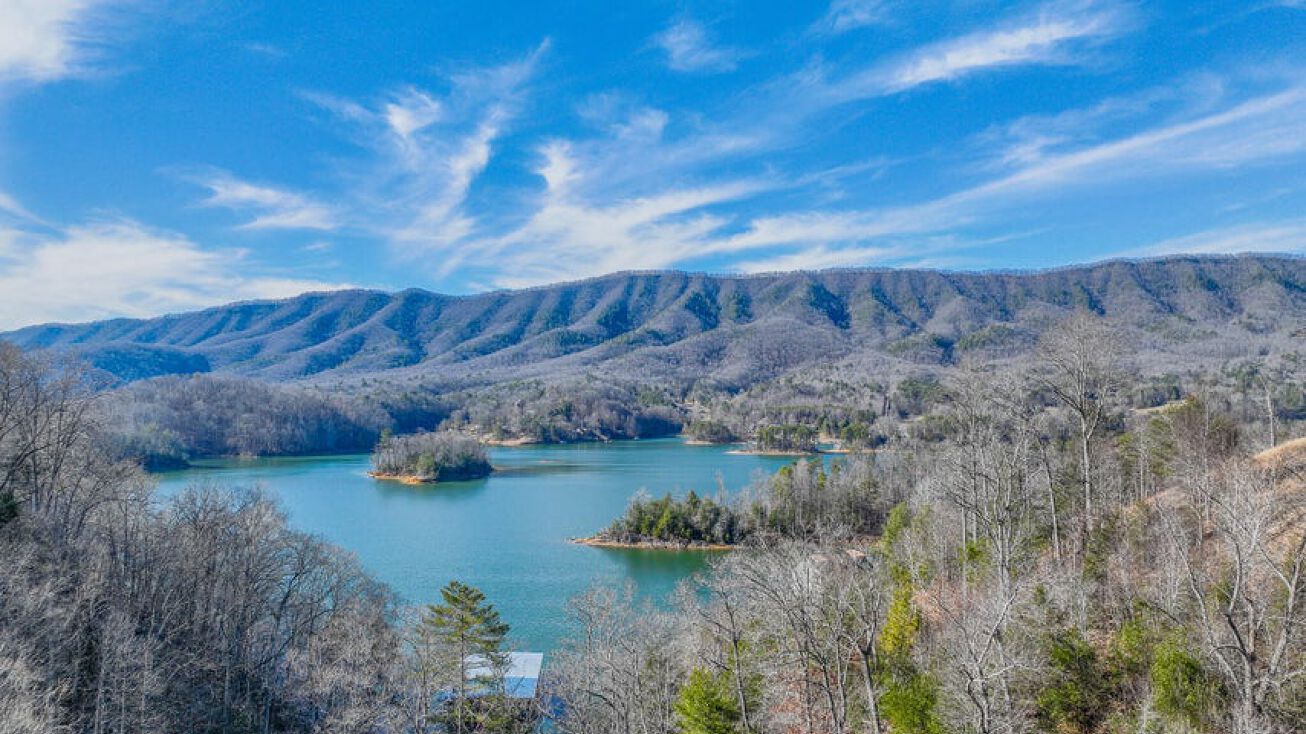 18 Horseshoe Cove Dr, Butler, TN 37640