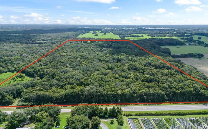 Pictures of Land, Retail property located at 3448 Co Rd 567, Center Hill, FL 33514 for sales - image #1
