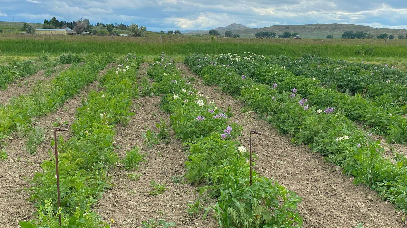 157 Hergenrider Rd, Bridger, MT 59014