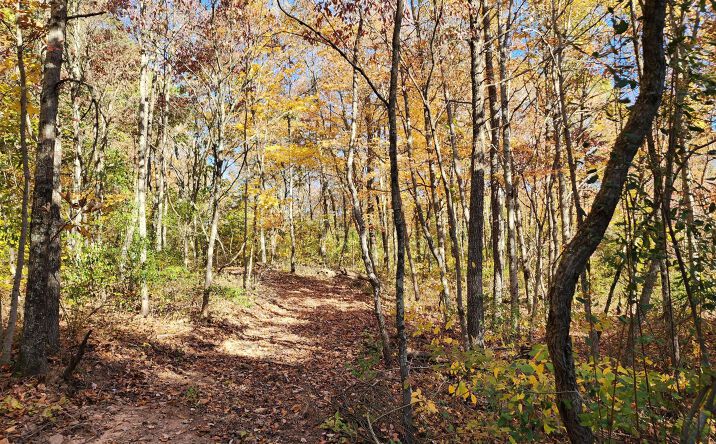 Pictures of Land property located at 0 Pounds Road, Glouster, OH 45732 for sales - image #1