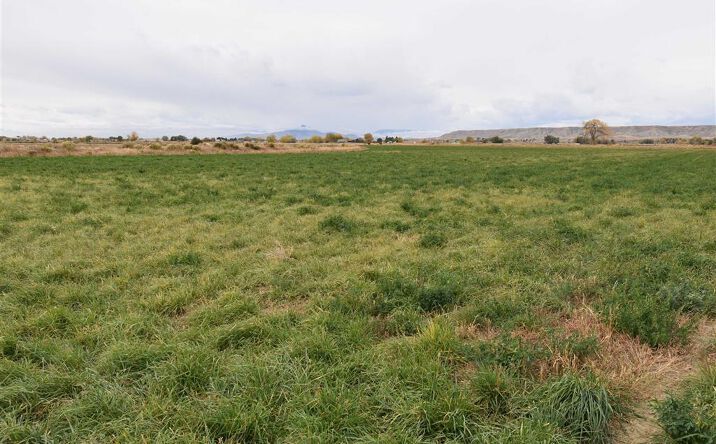 Pictures of Land property located at TBD Road 10, Powell, WY 82435 for sales - image #1
