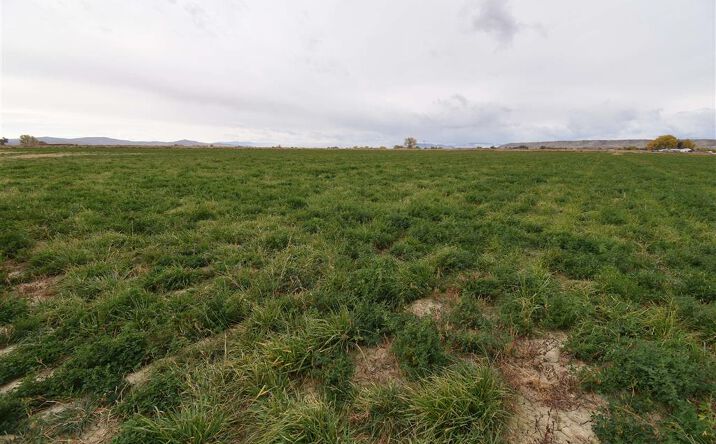 Pictures of Land property located at TBD Road 10, Powell, WY 82435 for sales - image #1