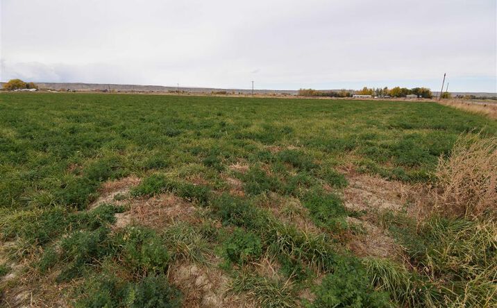 Pictures of Land property located at TBD Lane 7, Powell, WY 82435 for sales - image #1