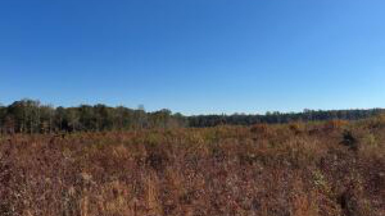 0 Bowie Road, Troy, SC 29848