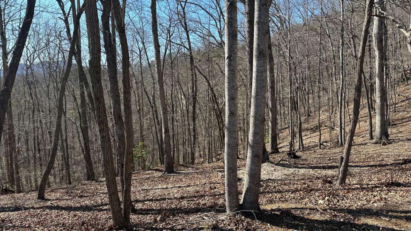 Lot 55Asheland Cove Dr, Young Harris, GA 30582