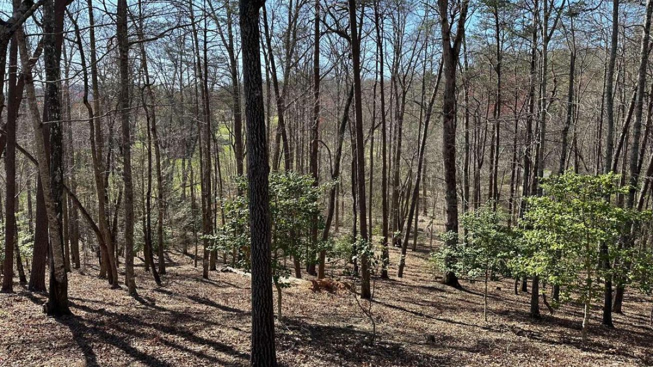 Asheland Cove Dr, Young Harris, GA 30582