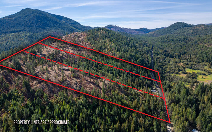 Pictures of Land property located at 3401 Red Marble Rd, Chewelah, WA 99109 for sales - image #1