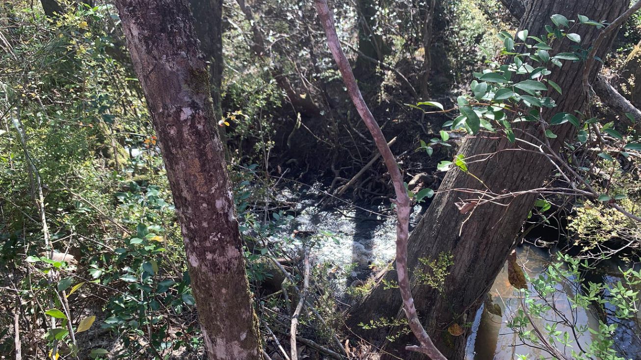 C Mcleod Country Road, Pass Christian, MS 39571