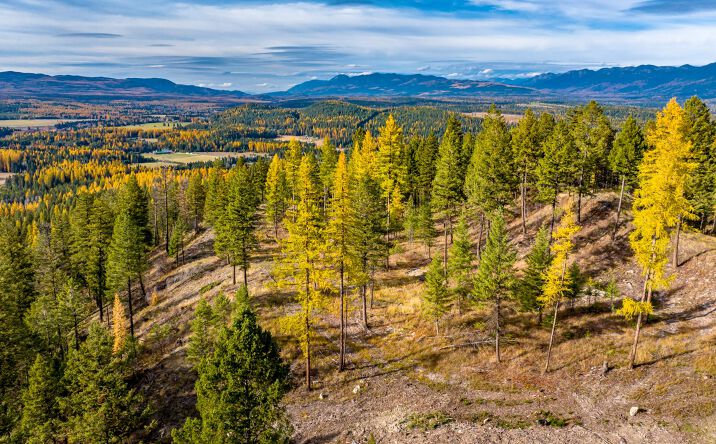 Pictures of Land property located at 93 Northridge Court, Whitefish, MT 59937 for sales - image #1