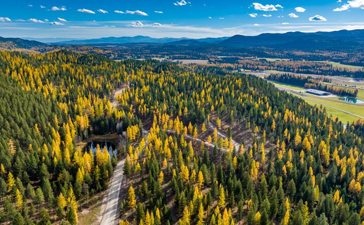 Pictures of Land property located at 1179 Whitefish Ridge Road, Whitefish, MT 59937 for sales - image #1