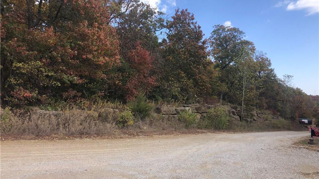 SE Rattlesnake Lane, Butler, MO 64730