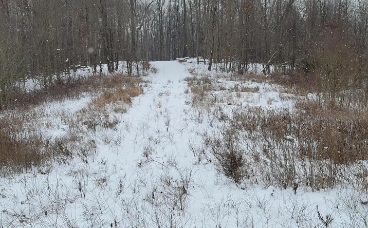 Pictures of Land property located at 0 Goosecreek Road, Roseville, OH 43777 for sales - image #1