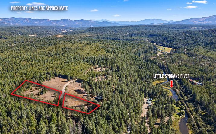 Pictures of Land property located at NKA Pines Rd, Newport, WA 99156 for sales - image #1