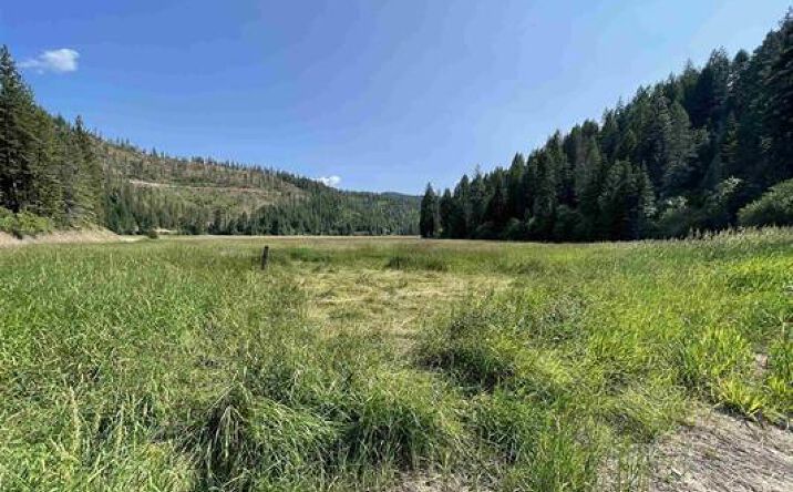 Pictures of Land property located at 41XX N Deer Lake Rd, Loon Lake, WA 99148 for sales - image #1