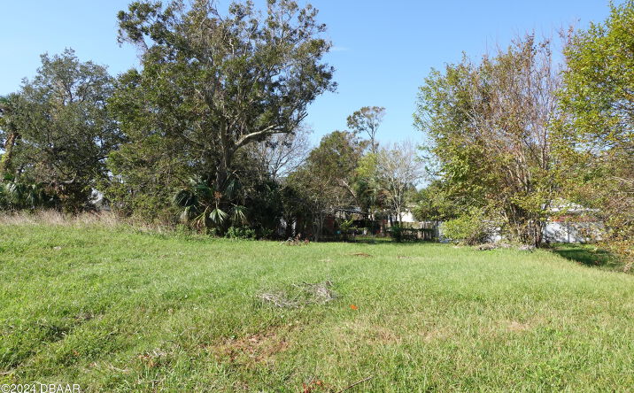 Pictures of Land property located at 525 Monroe Street, Port Orange, FL 32127 for sales - image #1