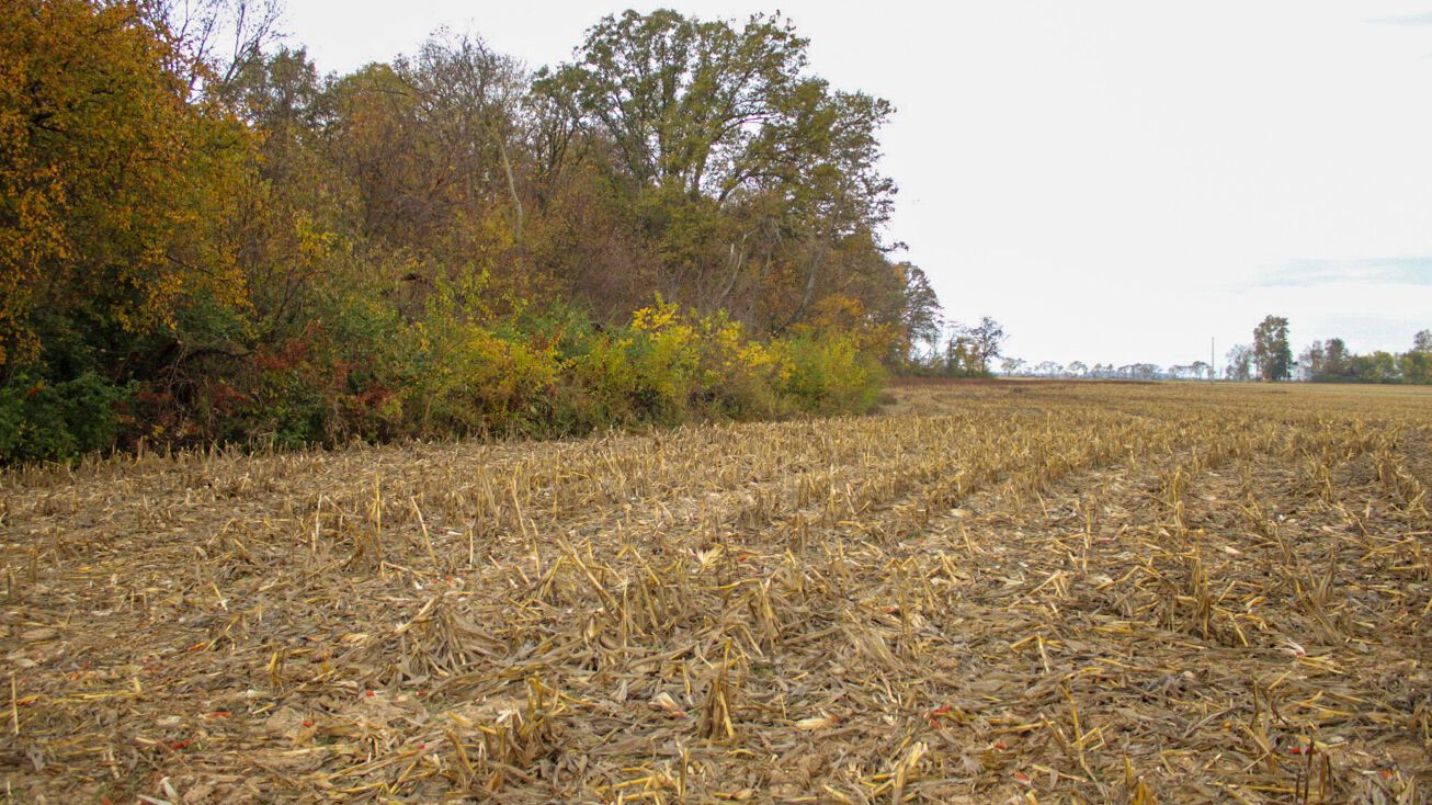 0 Commercial Point Road, Circleville, OH 43113