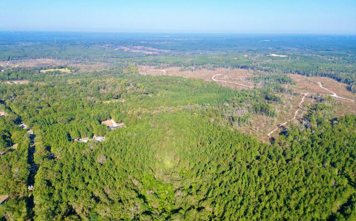 Pictures of Land property located at NHN Nelson Road, Poplarville, MS 39470 for sales - image #1