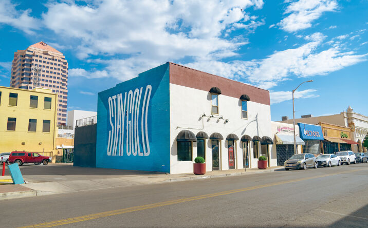 Pictures of Mixed Use, Retail property located at 317 Gold Ave SW, Albuquerque, NM 87102 for sales - image #1